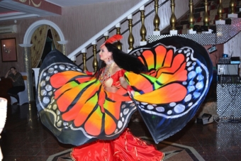 Огненные крылья бабочка!